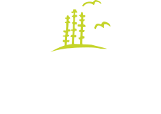 Yeppoon Lawyers